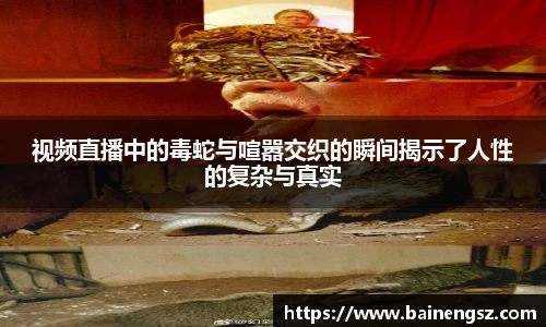 视频直播中的毒蛇与喧嚣交织的瞬间揭示了人性的复杂与真实